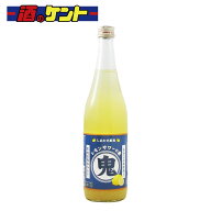 北のさくら しあわせ果実 鬼おろし レモンサワーの素 720ml 鬼おろしサワー 瓶