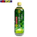 宝焼酎の宇治抹茶のお酒　900ml PET 25度