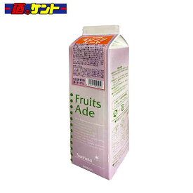 三田飲料 オレンジエード 1L パック 希釈用 シロップ 1000ml 割材 かき氷 カフェ スイーツ