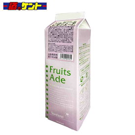 三田飲料 ソルティー＆レモンエード 1L パック 希釈用 シロップ 1000ml 割材 かき氷 カフェ スイーツ