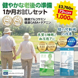6月末迄 訳アリ 賞味期限間近 最大 ポイント 18倍 73%off 2袋 セット 1袋あたり500円 送料無料 健やかな 老後 準備 1か月 お試し グルコサミン GABA + テアニン 関節 足腰 睡眠 質の向上 休息 40代 50代 60代 70代 プレシニア