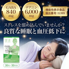 敬老の日 半額SALE中&マラソン期間中MAX2000円offクーポン発行中!送料無料 【 機能性表示食品 】健達 GABA ＋ テアニン GABA 28mg L-テアニン 200mg 高血圧 睡眠の質 ストレス 疲労感 ギャバ 粉末でお休み前に飲み物と一緒に リラックス ストレス軽減 不安解消 おすすめ