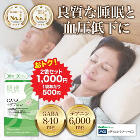 最大 ポイント 18.5倍 74%off 2袋 セット 1袋あたり500円 送料無料 健達 GABA ＋ テアニン GABA 28mg L-テアニン 200mg 高血圧 睡眠の質 ストレス 疲労感 ギャバ 粉末でお休み前に飲み物と一緒に リラックス