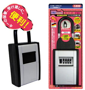 ABUSiAoXj@yJ[hƌ̗a蔠z@DS-KB-2