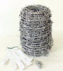 SC@LhS/o[u@14×100m@yXe[v40ERtz