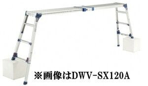 sJ@@DWV-SX90AyV0.60`0.91mz