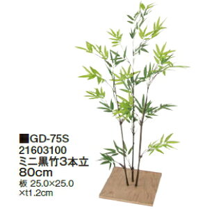 ^JV[GNXeA@~j|3{@80cm@GD-75S