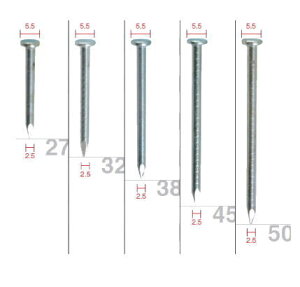 ^@V[gAB@RN[gp27mm@CMP25-27y1/200{×10×2zy2育Ƃɑ800~܂z