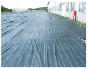 nM@hV[g@OhoANX@2m×50my[J[îߑւ͂pɂȂ܂zyƏ̂/llւ̔z͂ł܂z