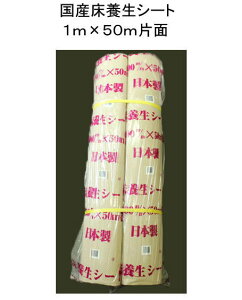 SC@Жʏ{V[giYj@1m×50my1/2{z