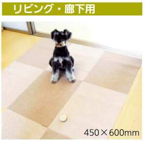TR[@^C}bg@x[WiZj@450×600y36zyJ^Oʉ摜gp̂߁Ai摜EJ[ɂ͂ӂ!!z