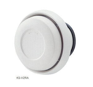 NASTAiiX^j@C@ʒ^Cv@(AtB^[t)@100@KS-V2RA@Vo[O[