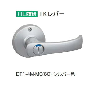 Z@TKo[ \(gC) Vo[F@DT1-4M-MS(60)