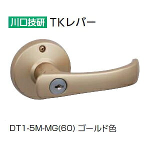 Z@TKo[ V_[(p) S[hF@DT1-5M-MG(60)