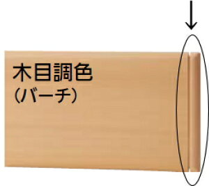 iJHƁ@ZteB[C@NS-200Mp@FGh@o[`