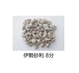 ^JV[GNXeA@뉀@ɐ@8@20kg