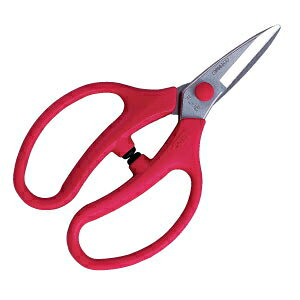 AXR[|[V@@to16@FL-16-BP