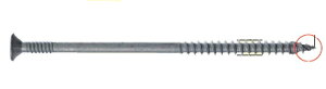 ���J�C�@�O����f�M�H�@�p�@X�|�|�C���g�r�X�@�f�B�X�S�@6×200mm�@DXP6200�i50�{���j