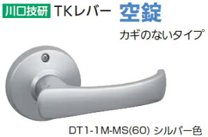 Z@TKo[  Vo[F@DT1-1M-MS(60)