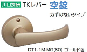 Z@TKo[  S[hF@DT1-1M-MG(60)