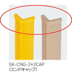 _hz[NGCgiVaj@R[i[K[hp@㕔GhLbv̂ (1)@SK-CNG-2CAP@yJ[Iz