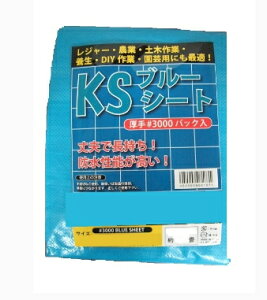 KS@u[V[g@#3000@10×10m@[1]@9.7×9.8m
