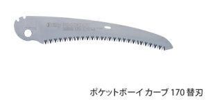 Silky/VL[@|Pbg{[C (J[u)@170@֐n@471-17@[nn:170mm/ڐ:10]