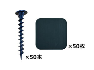 O[tB[h@KRs (hpb`O[t)@250mm@P-GA250-XTP50GR@[KRs×50{Ehpb`×50]@sElzs