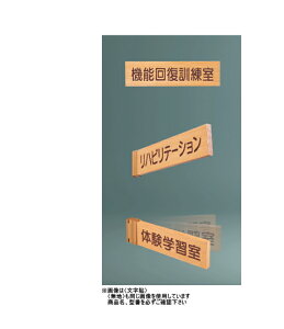 _hz[NGCgiVaj@ؐ@ʎD(t^)@SK-WN-2F@qnr