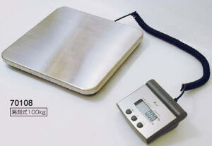 V@fW^͂@u100kg@70108