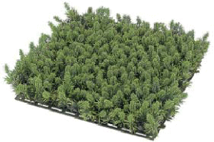 ^JV[GNXeA@lHہ@XMSPZbg 27×27cm@GN-21