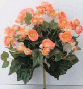 ^JV[GNXeA@O[ObY@xSjA@IW@W25cm@GN-34Y