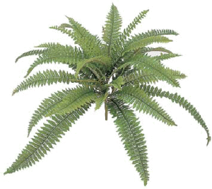 ^JV[GNXeA@O[ObY@NCbN{Xg@W40cm@GN-45S