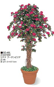 ブーゲンビリア 鉢の人気商品 通販 価格比較 価格 Com ブーゲンビリア 鉢の人気商品 通販 価格比較 価格 Com