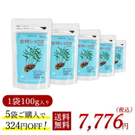 金時ショウガ末 100g×5個（324円お得）無農薬 無添加 冷え 辛い 生姜パウダー 温まる ジンジャーパウダー ショウガ しょうが茶 粉末 しょうがパウダー ショウガパウダー 金時しょうが 温活 賞味期限：2026.11.17