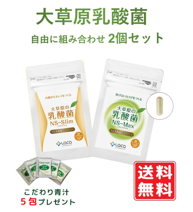 楽天市場】大草原の乳酸菌 NS-Max36粒とNS-Slim36粒 選べる2個セット 