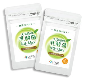 �呐���̓��_�� NS-Max36��/NS-Slim36�� 1�@�����S�����܂�́uNS���_�ہv�����S�����܂�̐V�N�ȁuNS���_�ہv�������� ���b �R���X�e���[�� ���������T�|�[�g ���Ɛ����[�O���g ���C�e�� �� 