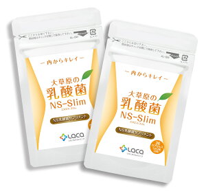 �呐���̓��_�� NS-Max36����NS-Slim36�� �I�ׂ�2�Z�b�g�y8���v���[���g�z540�~�����uNS���_�ہv�������� ���b �R���X�e���[�� �������� | �T�v�������g �T�v�� ���C�e�� �� ���� �����t���[�� 