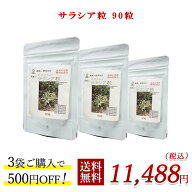 エクストラ サラシア粒 90粒×3個　500円お得 無添加 無農薬 サラシアエキス 脂肪 糖 サラシノールサラシ…