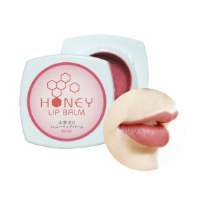 y[zRV nj[bvo[ 4g [Y/s[`sN/NA I[KjbN g bvPA bvN[ bv ݂͂ J[bv Ftbv J[bvN[ 