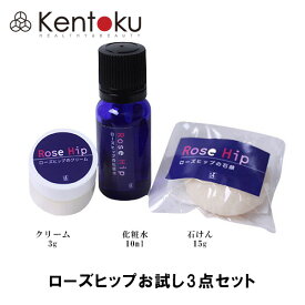 山澤清 ローズヒップお試し3点セット　石けん 15g/化粧水 10ml/クリーム 3g　 オーガニック ローズ水 オードリーインターナショナル バラ ノンアルコール レモンの20倍のビタミンC！透明感、シミやくすみでお悩みの方へ