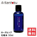 山澤清 ローズヒップ化粧水 50ml オーガニック【透明感 くすみ】お肌にすーっと浸透 さっぱり 重ね付けすることでしっとり もちもち 自然の香りに癒されます ビタミンC豊富 ローズ水 オードリーインターナショナル バラ【定形外発送 送料無料】