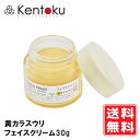 山澤清 黄カラスウリ フェイスクリーム30g　オーガニック クリーム 美容 スキンケア お手入れ 顔 肌 保湿 潤い アルコールフリー 保湿クリーム 自然派 ミツロウ ホホバオイル 乾燥 対策 カバー 植物性 植物エキス シンプル 送料無料