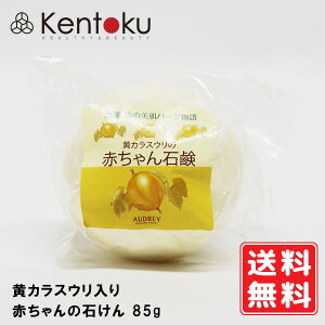 山澤清 黄カラスウリ入り赤ちゃんの石けん 85g オーガニック 無添加 手作り オードリーインターナショナル 天花粉 定形外発送 送料無料