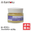 山澤清 ローズマリー フェイスクリーム30g 　オーガニック 抗酸化作用が高く、お肌のハリ、ツヤに効果的 ナイトクリーム 保湿 使用目安:約3ヶ月 / 使用期限:開封後1年 送料無料