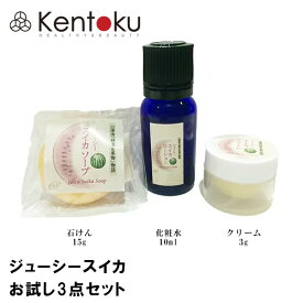 ジューシースイカのお試しセット 石けん15g/化粧水10ml/クリーム3g　お試しセット山澤清 オーガニック 「野菜と果物」ハーブ研究所 リコピン ビタミンC 日焼け エイジングケア むくみ 肌荒れ シミ 抗酸化 年齢肌 旅行 お出かけ プレゼント