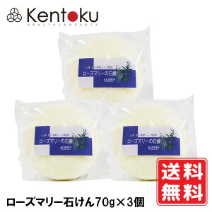 RV@[Y}[΂70g@AEI[KjbN30ԎR gpڈ:3`5 / gp:J6