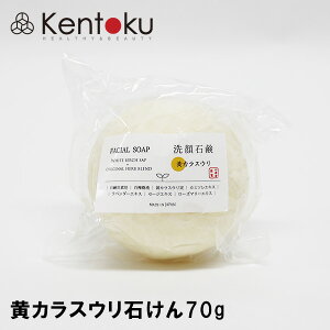 RV JXE΂ 70g@I[KjbN Vԕ  Ό 点 Ō`΂ A      ΍ ϕi e RX XLPA Vv  f Ƃ 