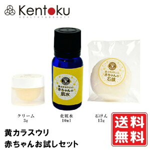 RV JXE Ԃ񂨎Zbgi΂ 15g/ϐ 10ml/N[ 3gjI[KjbN iCgN[ Zbg I[h[C^[iVi Vԕ 