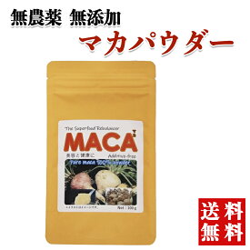 無農薬無添加 マカパウダー 100g　純正100% 粉末 天日干し 必須アミノ酸 ビタミンB群 厳選素材 健やかな毎日 朝の目覚め 夜のリラックスタイム 栄養補給 食生活が不規則な方に 前向きな気持ちを応援 大切な人と健やかな毎日を過ごしたい方 ゆうメール発送 送料無料